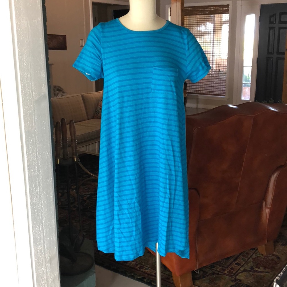 LulaRoe Carly Dress S